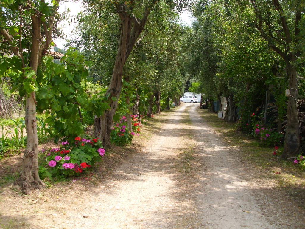 Olga'S Garden Apartments Almiros Beach Exteriér fotografie